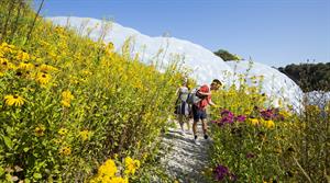 The Eden Project